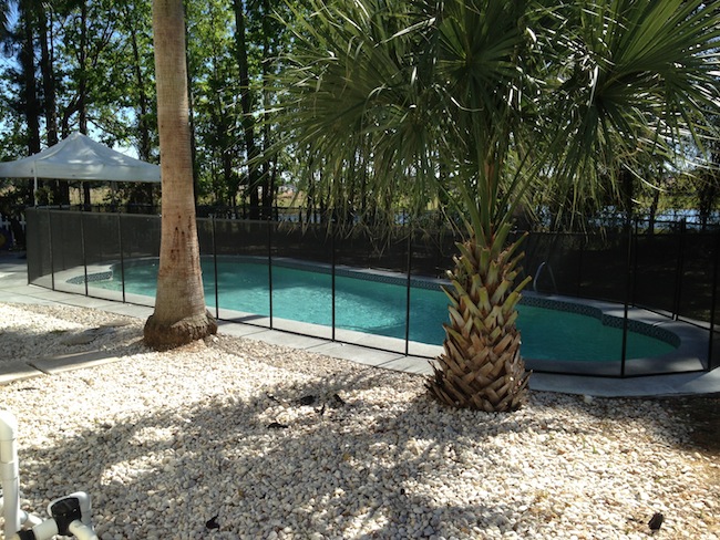 3 Orlando Pool Safety Fence