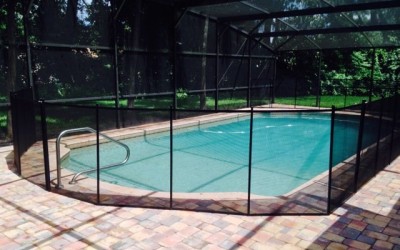 Screen Enclosure With Pool Fence