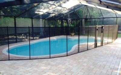 Pool Fence Longwood