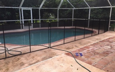 Pool Fence Protects