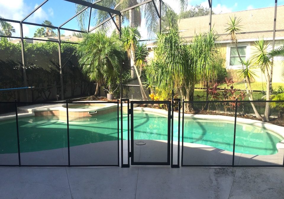 Orlando Florida Pools