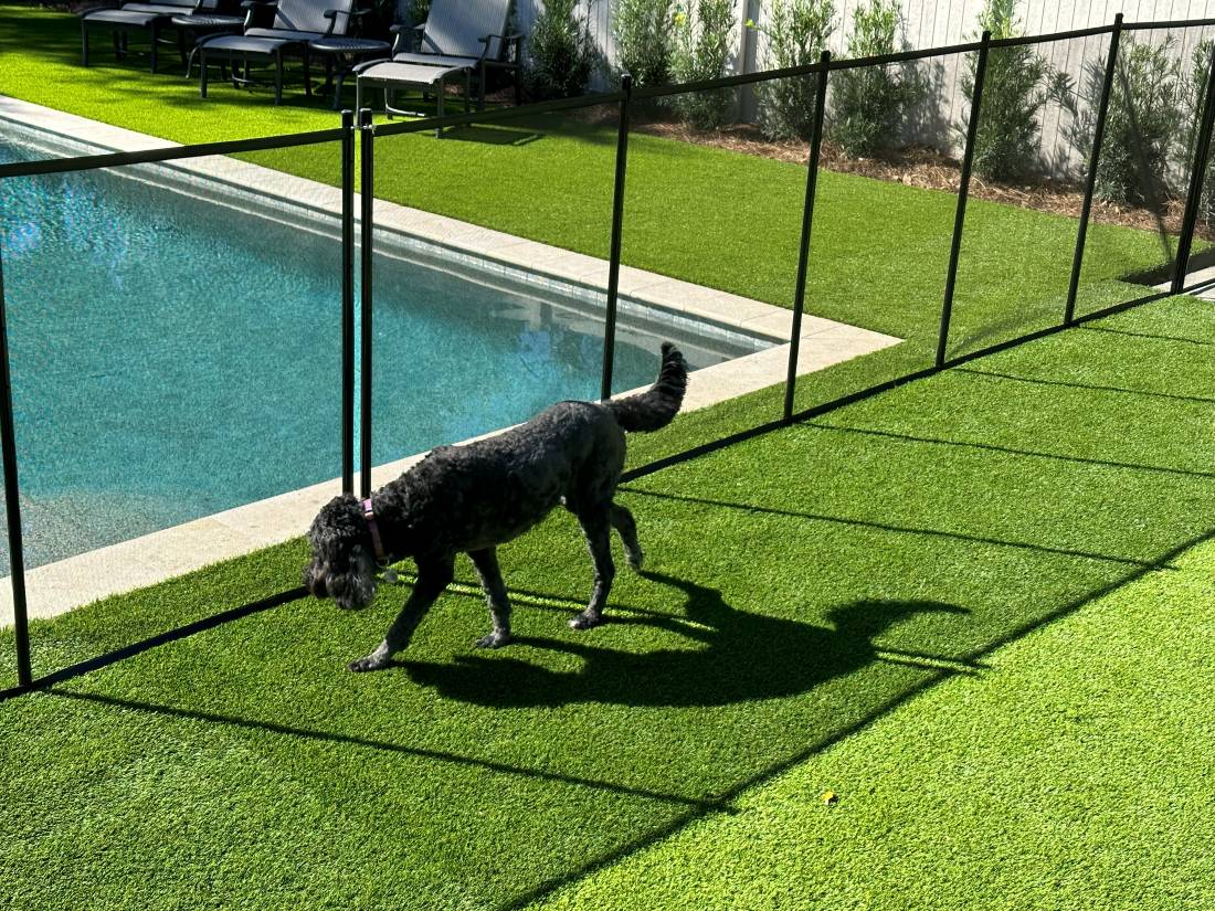 Pool Fence Keeps Pets Out of the Pool